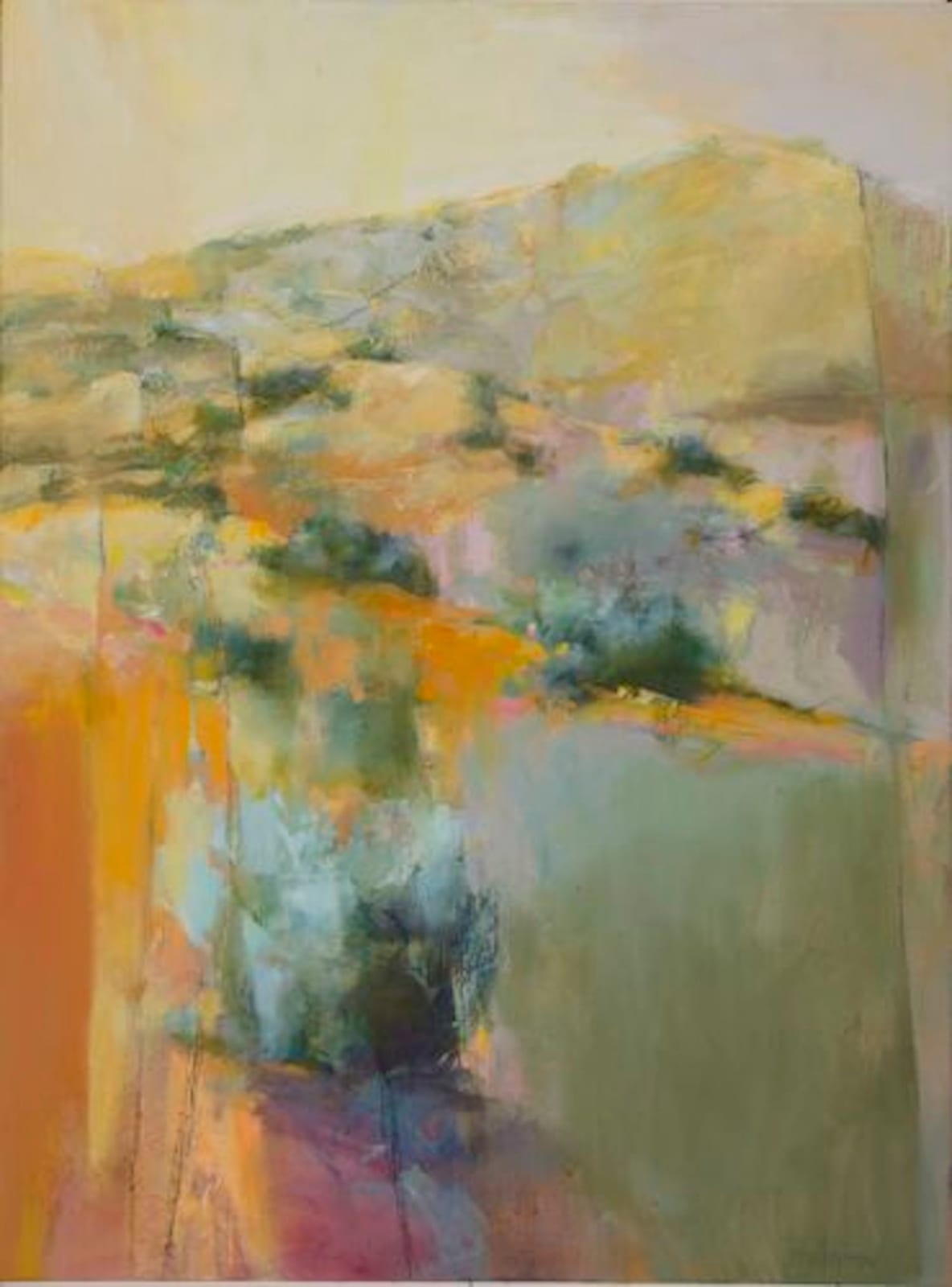 Joan Fullerton, Beyond the Mesa