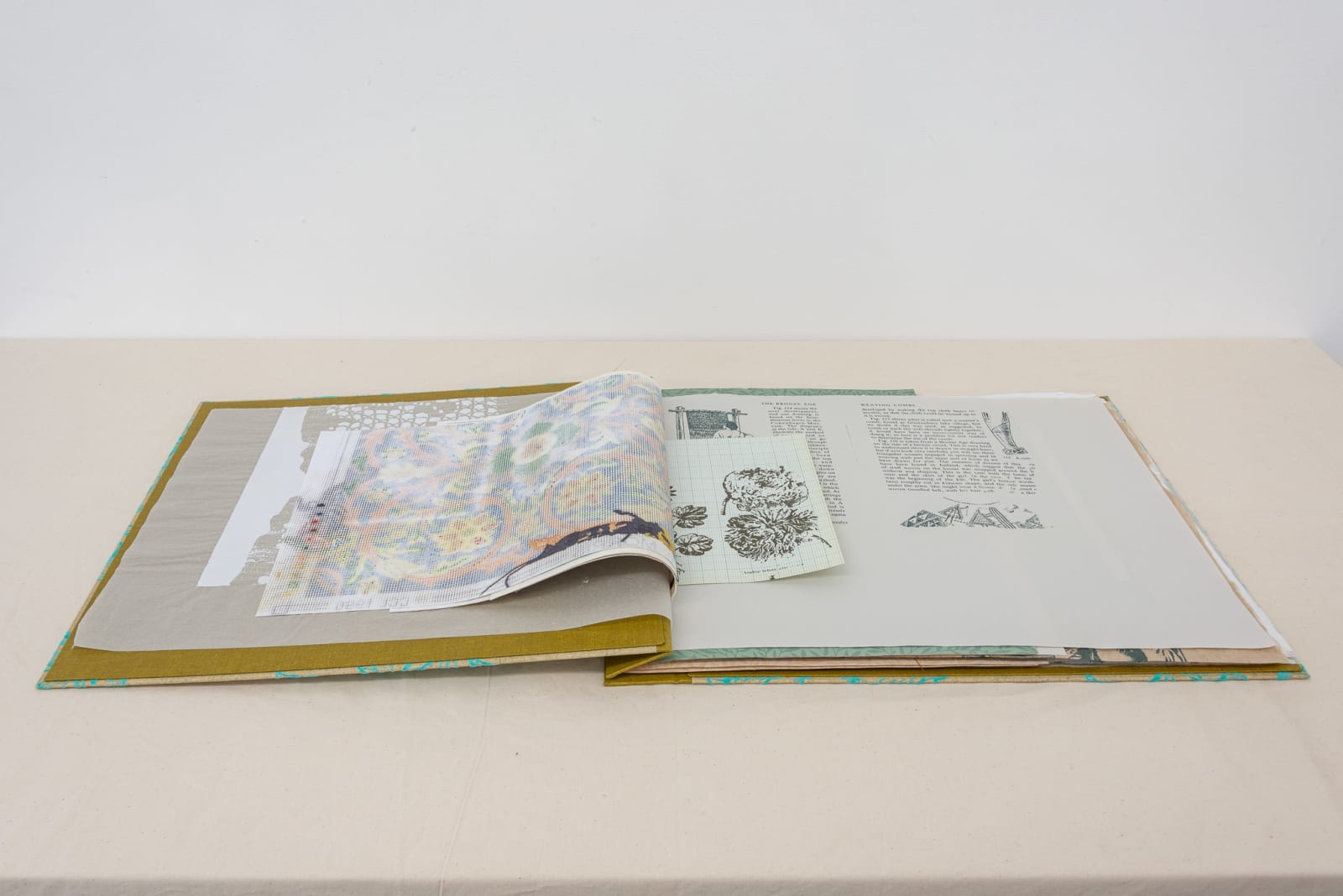 Diana Taylor, A Zoë/geo/techno archive, 2023