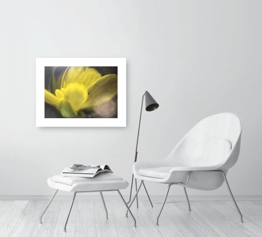 Rhona Eve Clews, You're petals and stamen and pollen, 2024