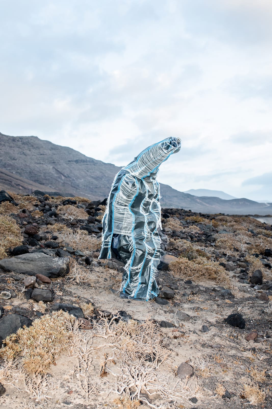 Esther van der Heijden and Nosh Neneh, Living Monuments of The Deep - Chrysomallon Squamiferum, 2023