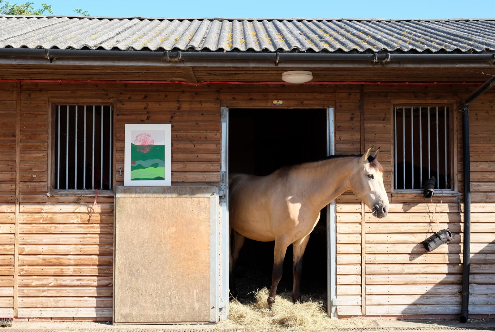 SLQS, Trái đất, 2023