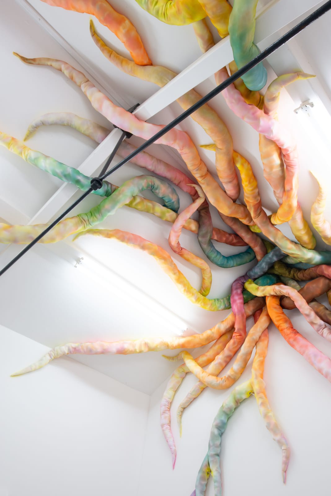 Damaris Athene, - - - infiltrate - - -, 2025