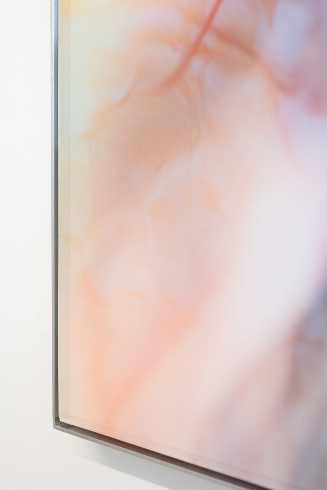 Damaris Athene, __deepcopy.008, 2025