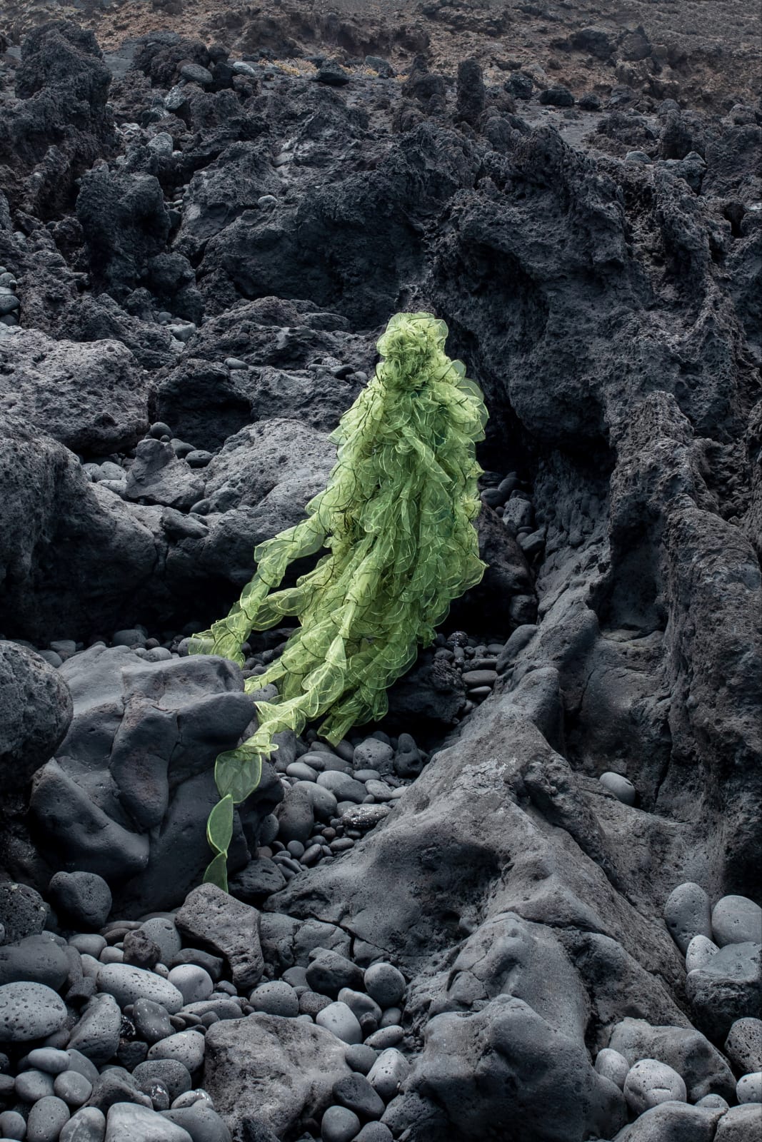 Esther van der Heijden and Nosh Neneh, Living Monuments of The Deep - Hydnophora Bonsai, 2023