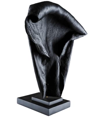 Toni Scott, Bison Spirit, 2023