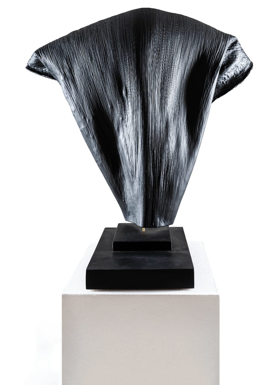 Toni Scott, Bison Spirit, 2023