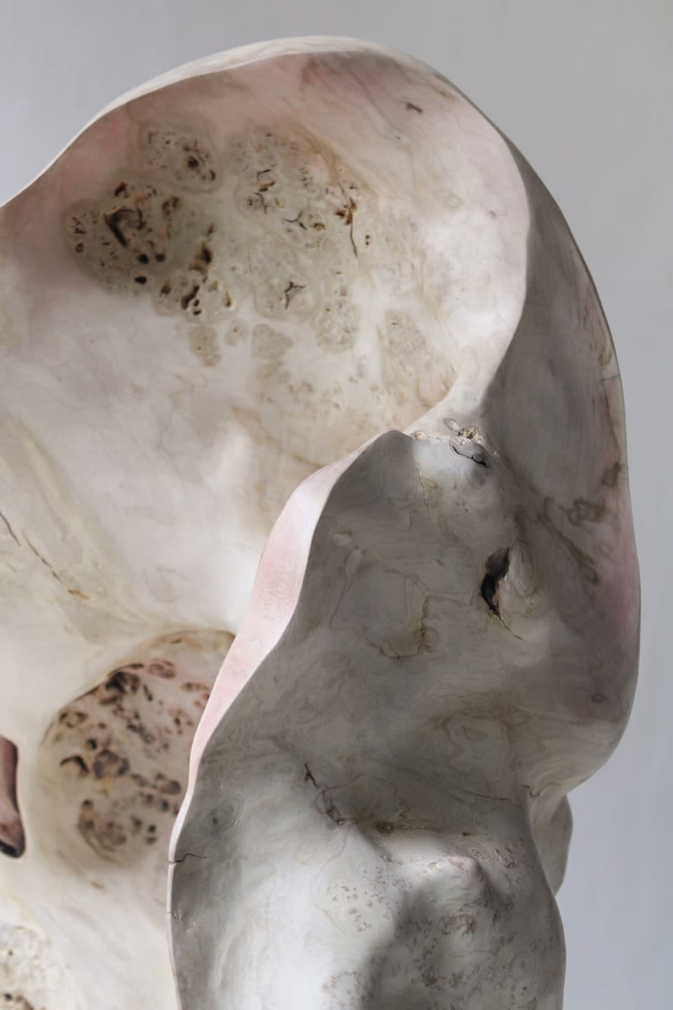 Julian Watts, Plume, 2022