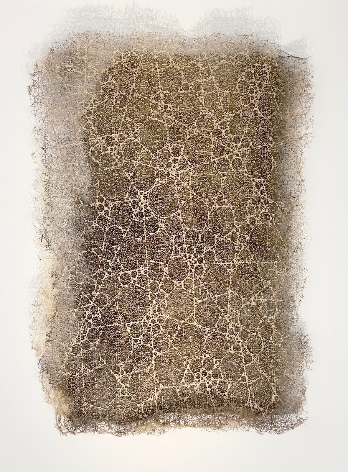 Diana Scherer, Hyper Rhizome #2-5-24, 2023