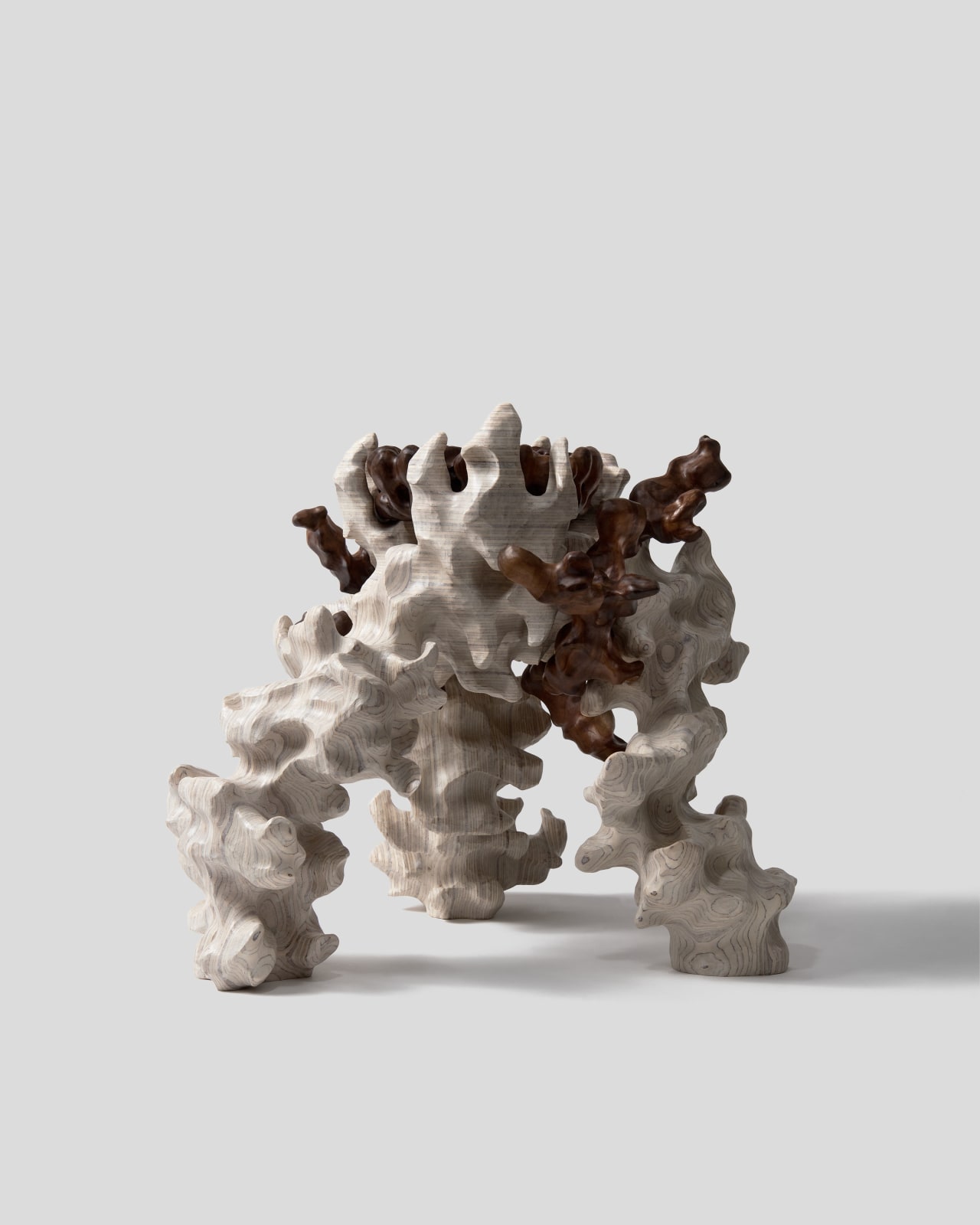 Tadeas Podracky, Thistle, 2023