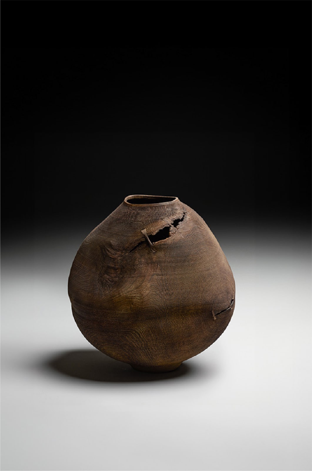 Ernst Gamperl, 41/2023//190, 2024