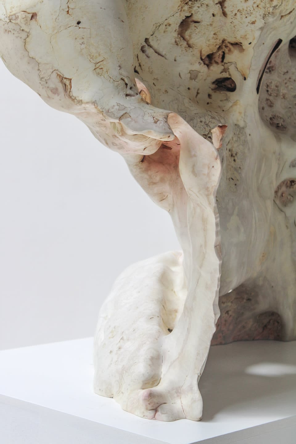 Julian Watts, Plume, 2022