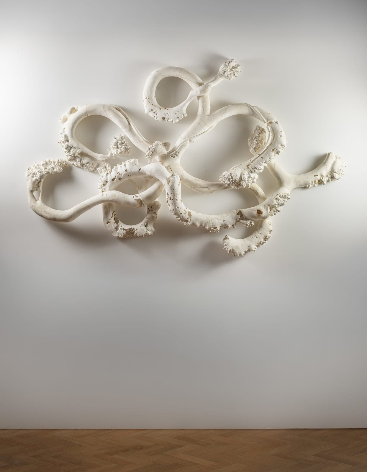 Eleanor Lakelin, Welter, 2025