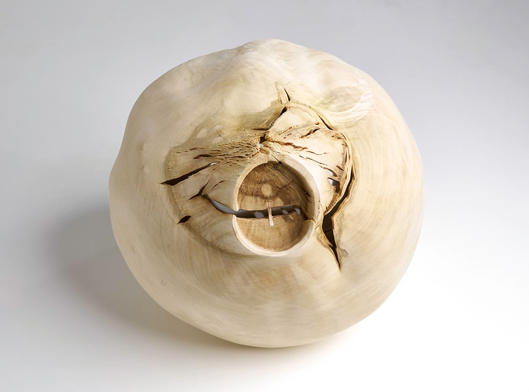 Ernst Gamperl, 20/2023//200, 2023