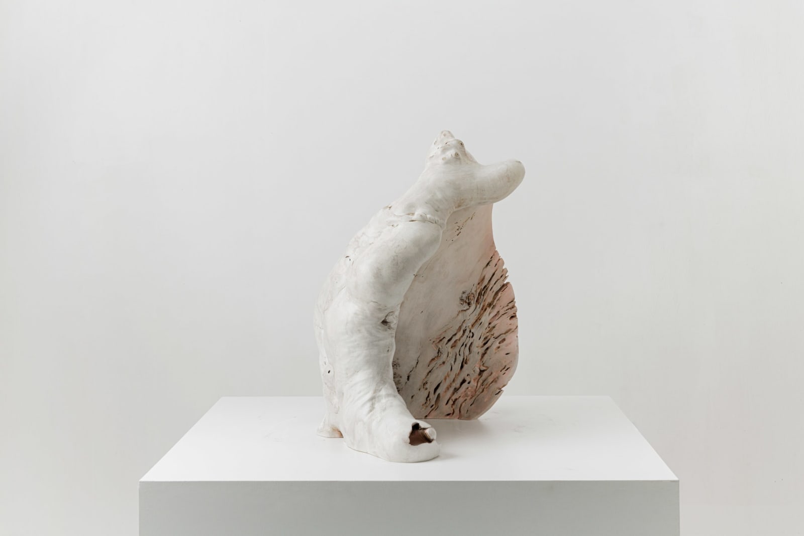 Julian Watts, Shell, 2022