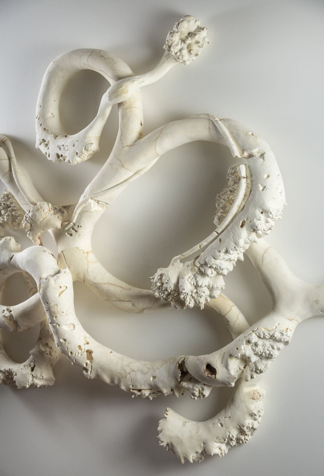 Eleanor Lakelin, Welter, 2025