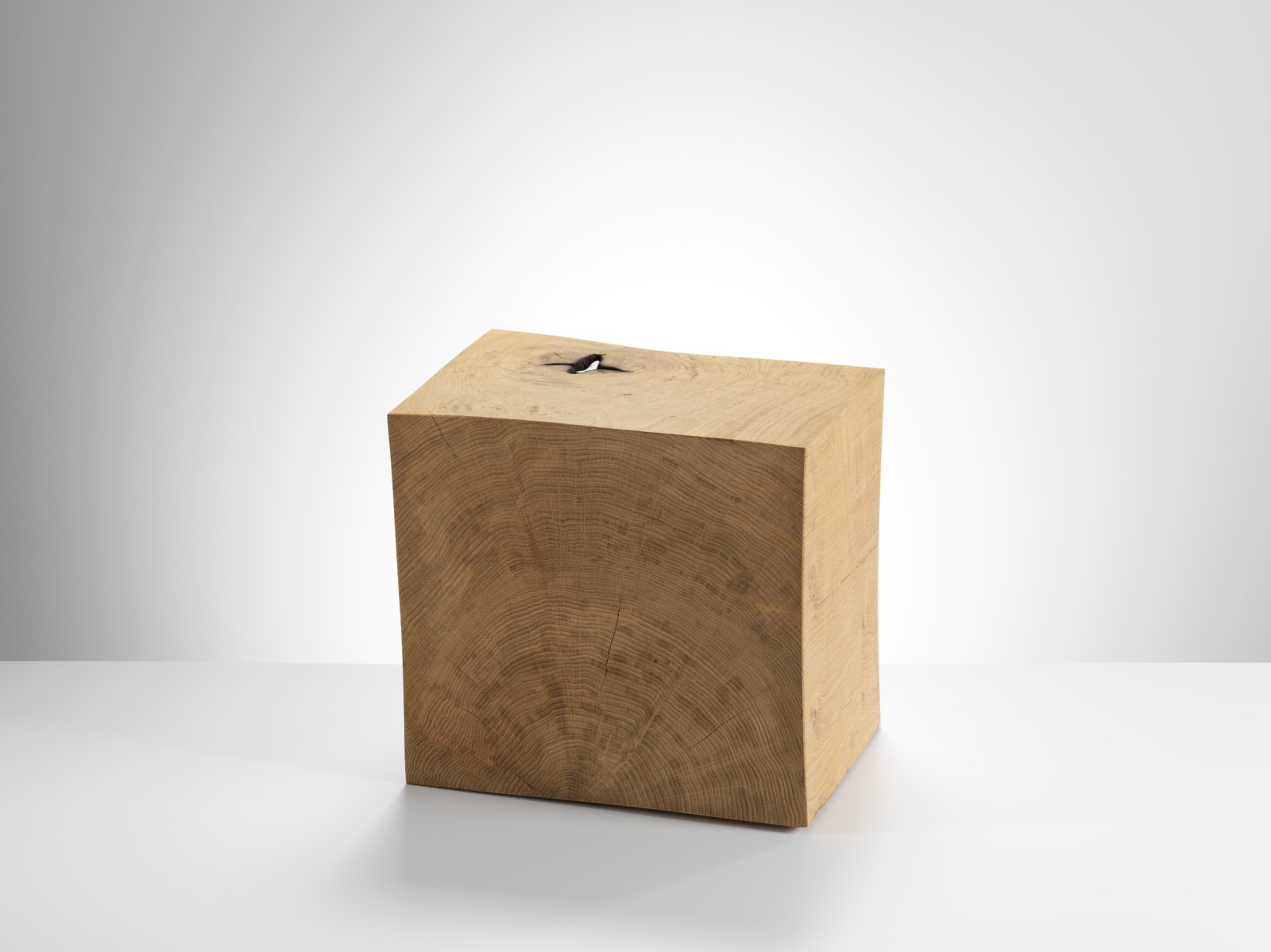 Adi Toch, & JIM PARTRIDGE What is Knot - I, 2023