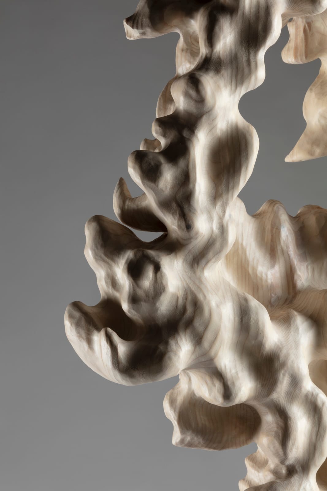 Tadeas Podracky, Morana, 2024