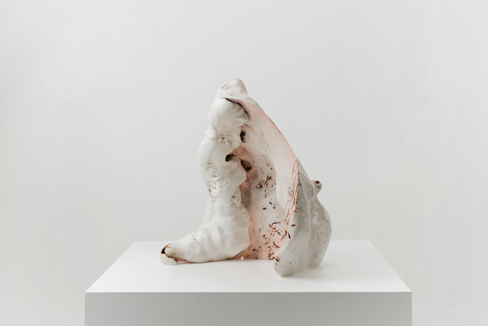 Julian Watts, Shell, 2022