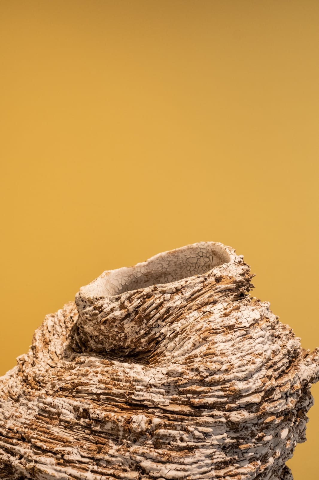 Luke Fuller, Accretion, 2022