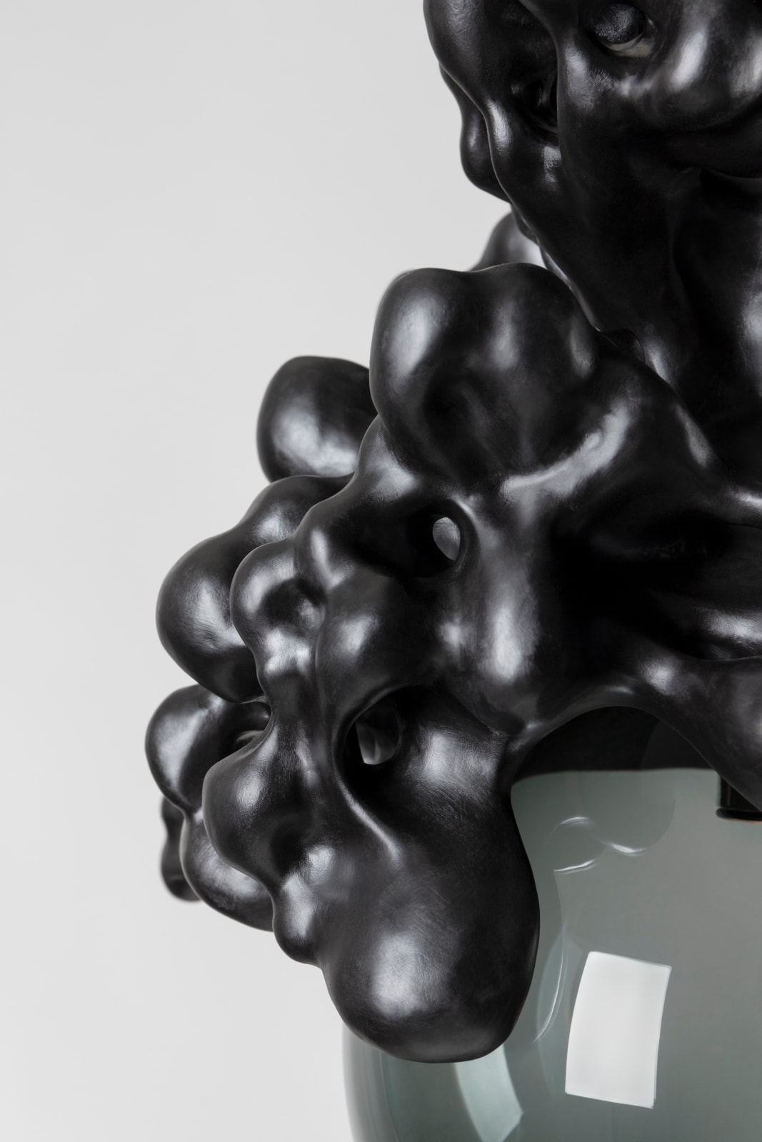 Tadeas Podracky, The Bloom of Bones Light in Black, 2025