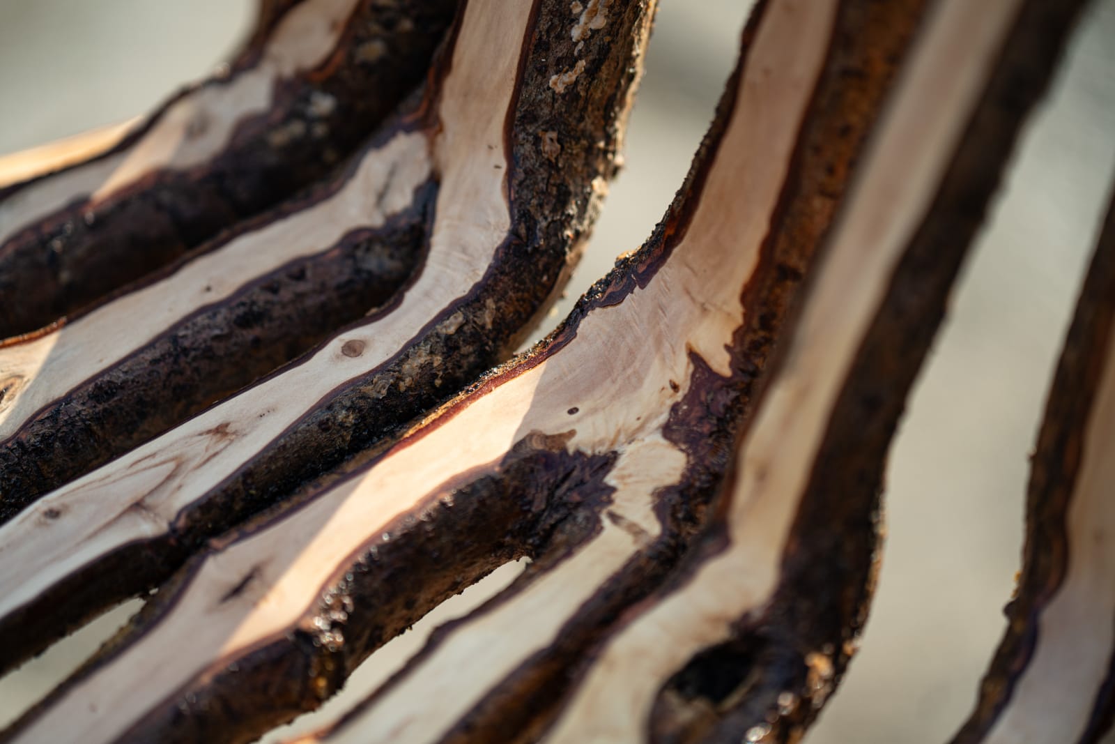 Full Grown, The Kraken Chair, 2024