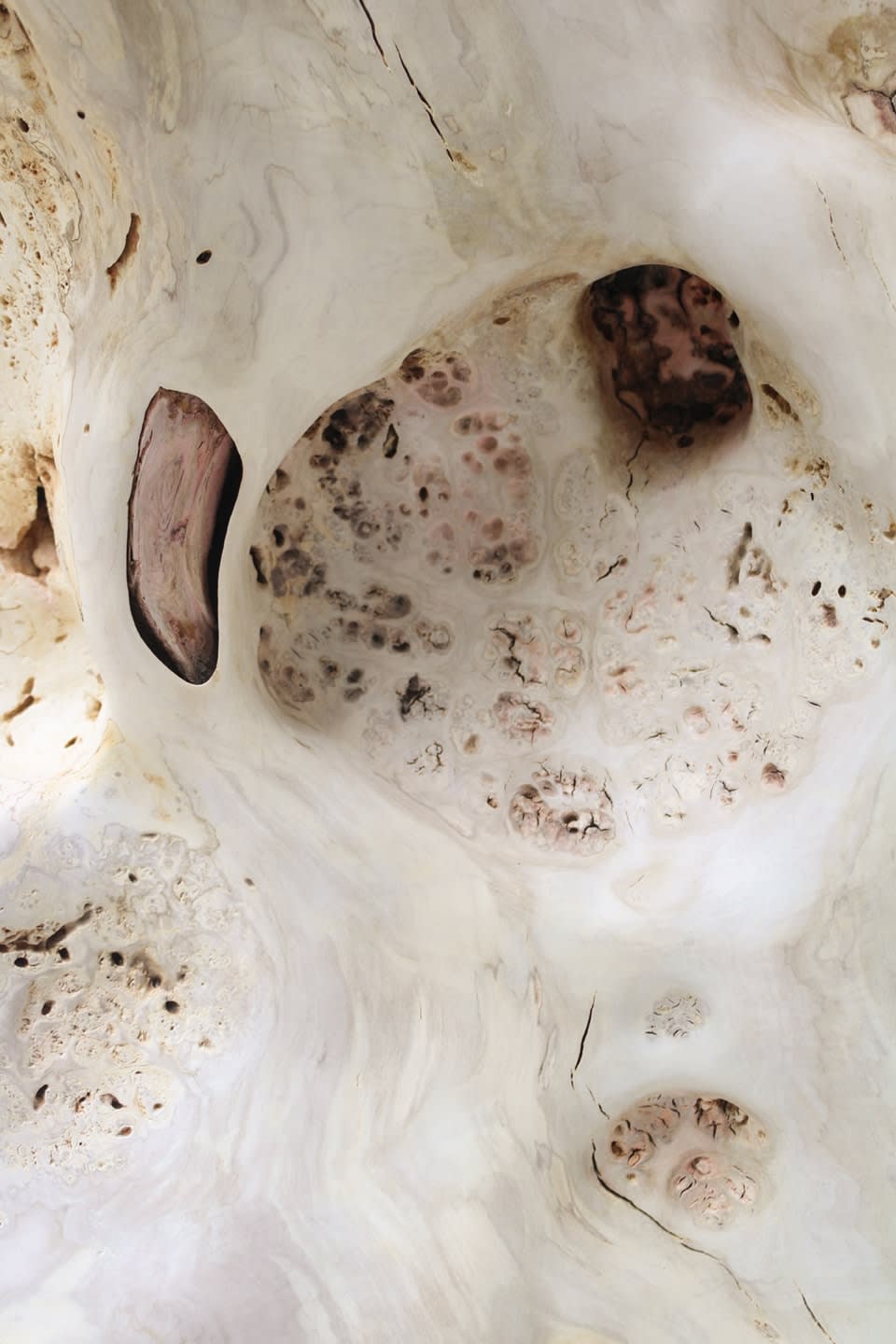Julian Watts, Plume, 2022