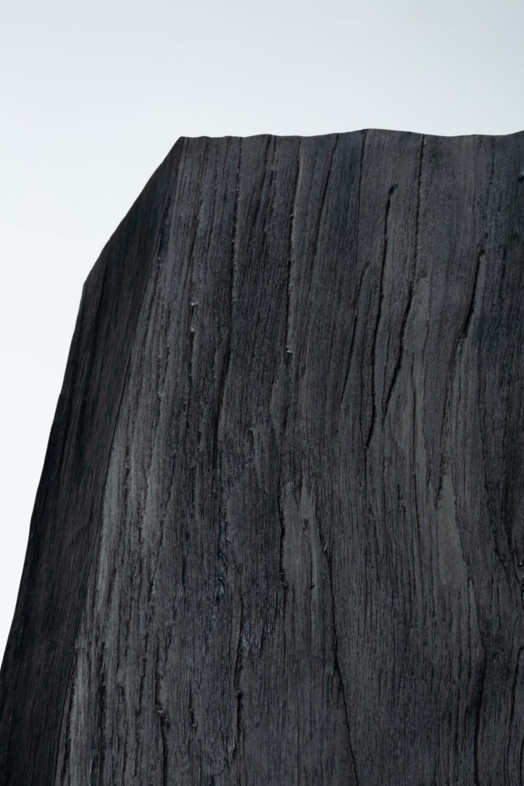 Kenji Honma, Contours of Past, 2022