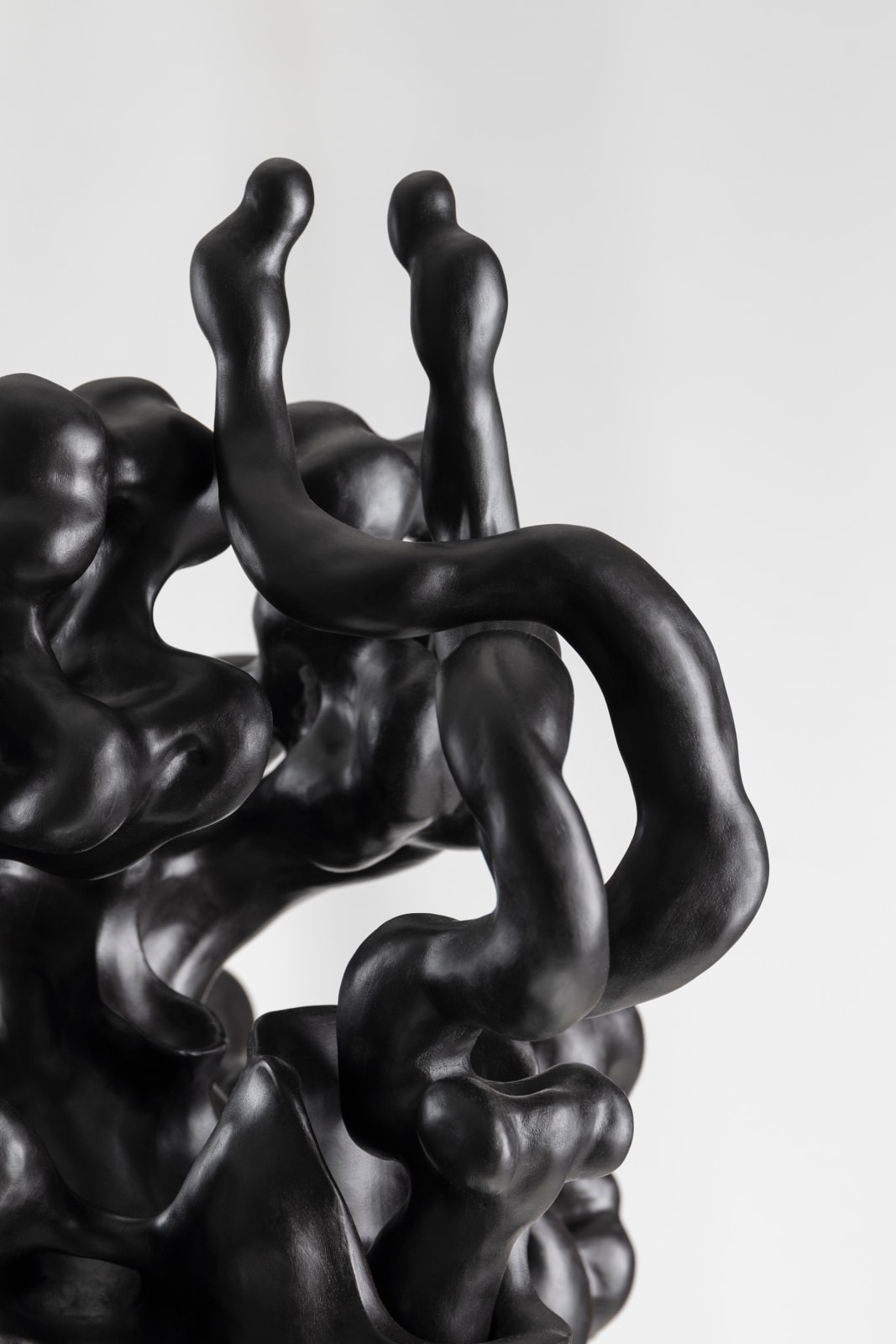 Tadeas Podracky, The Bloom of Bones Light in Black, 2025