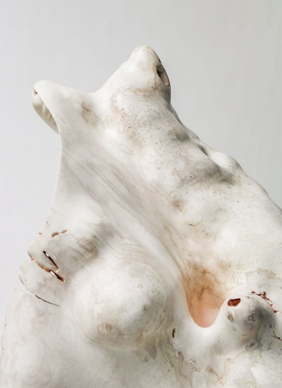 Julian Watts, Shell, 2022
