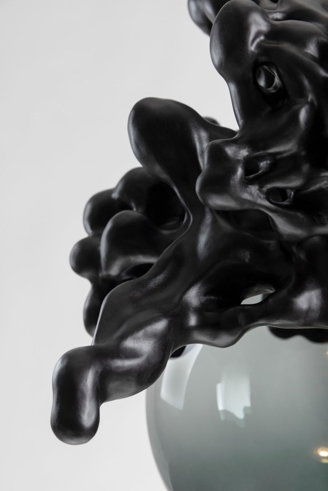 Tadeas Podracky, The Bloom of Bones Light in Black, 2025