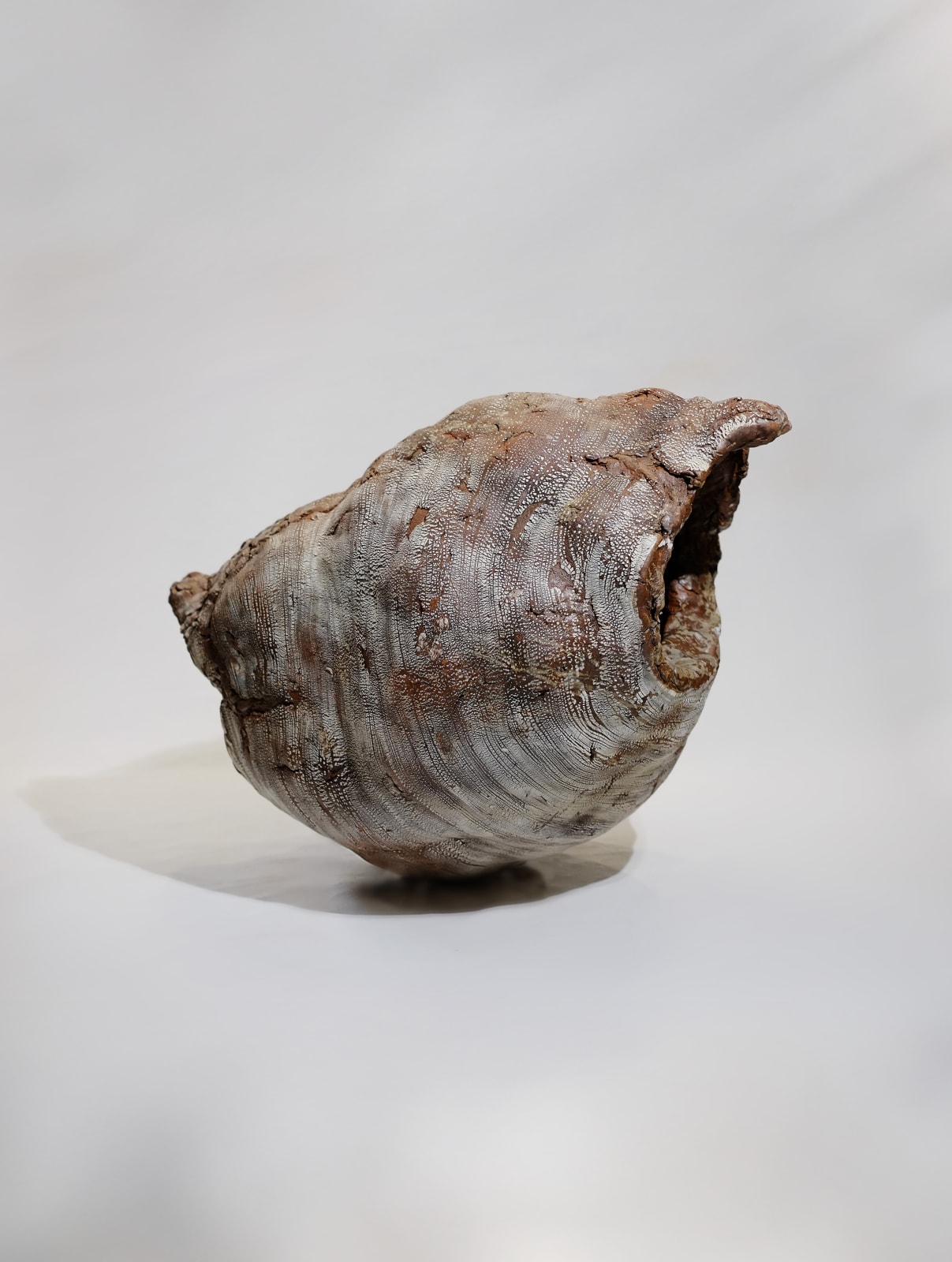 Yoshimi Futamura, Flying, 2021