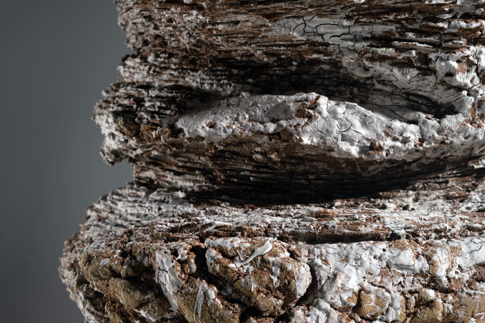 Luke Fuller, Accretion, 2022