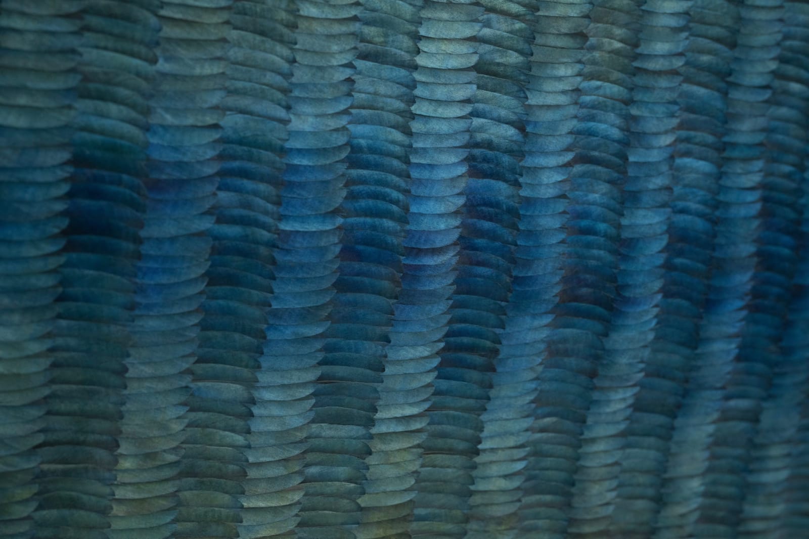 Kate MccGwire, WHELM (Pervade), 2025