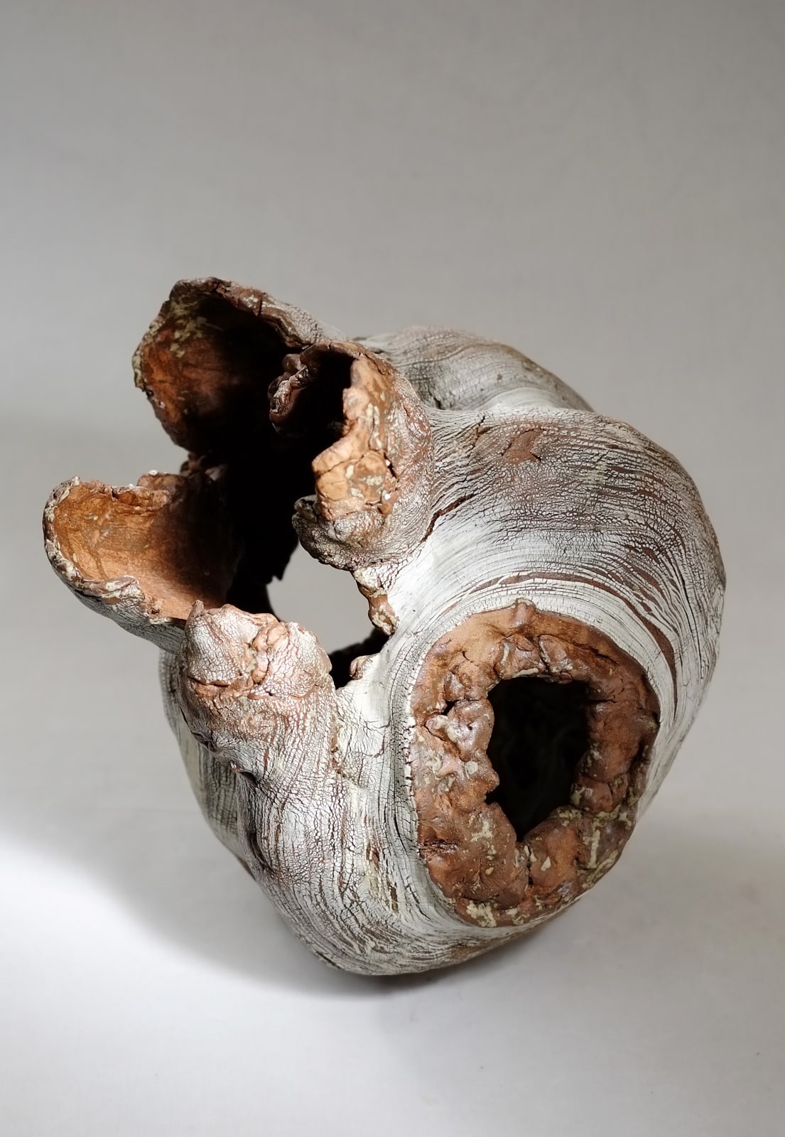 Yoshimi Futamura, Rebirth, 2018