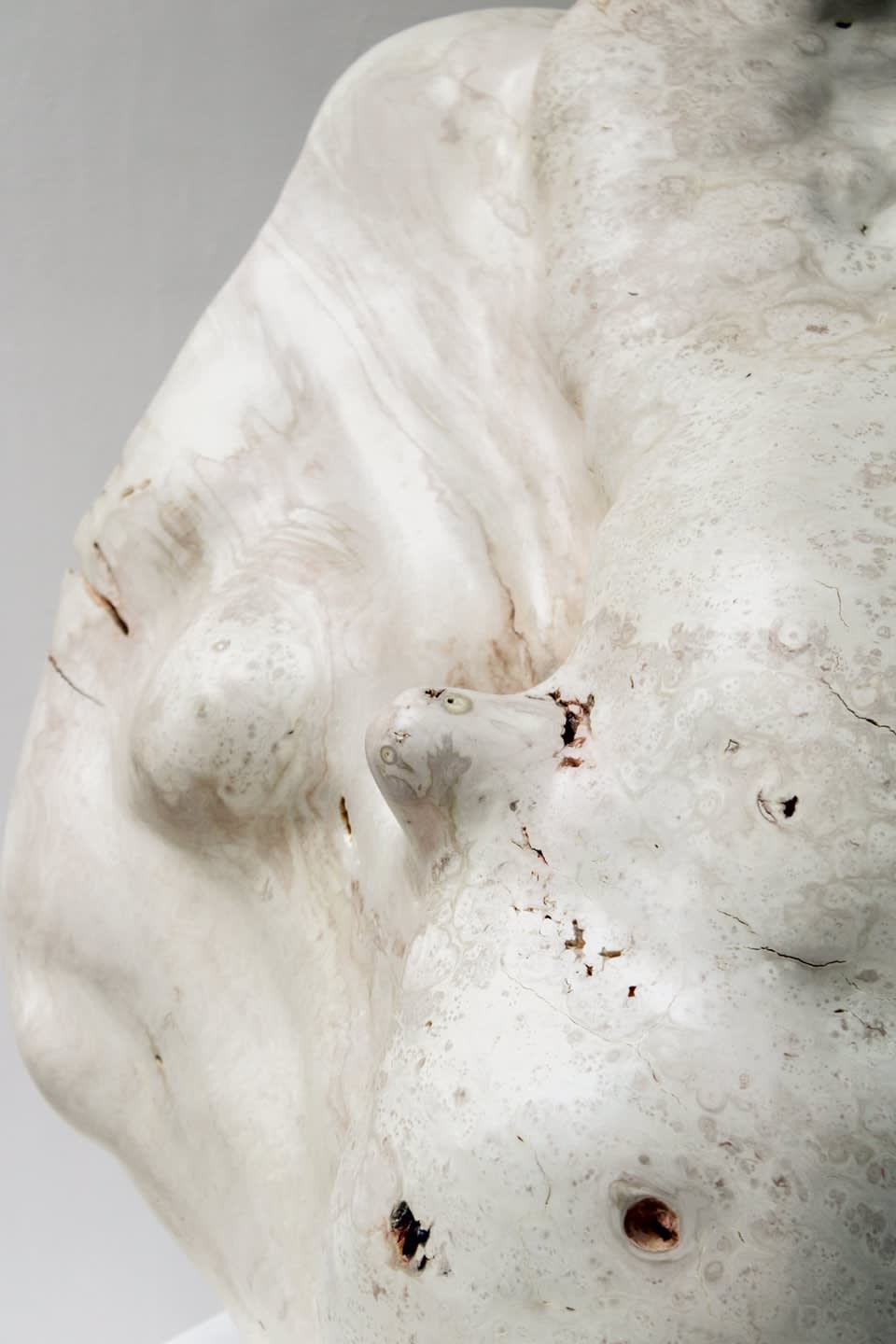 Julian Watts, Shell, 2022