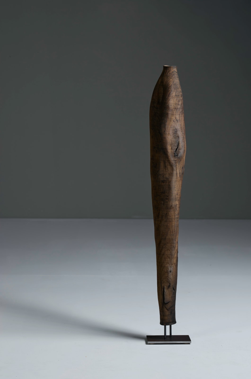 Ernst Gamperl, 45/2024//110, 2024