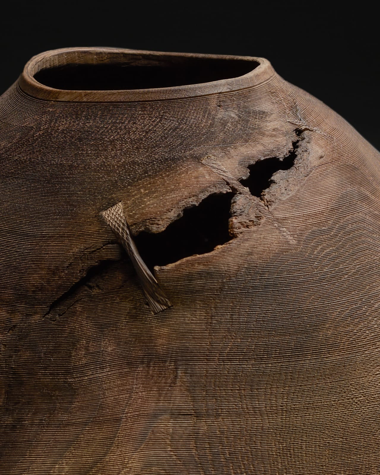 Ernst Gamperl, 41/2023//190, 2024