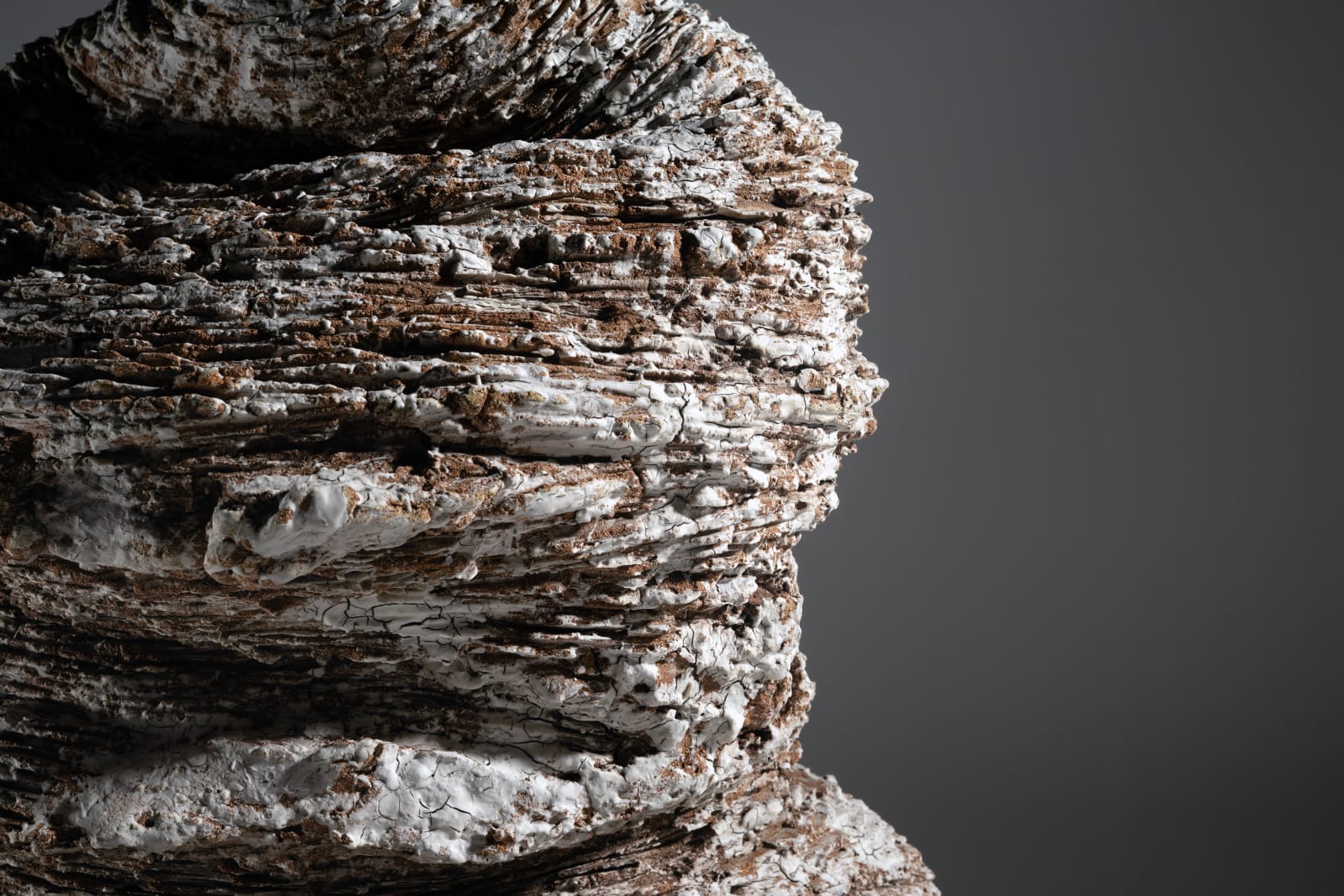 Luke Fuller, Accretion, 2022