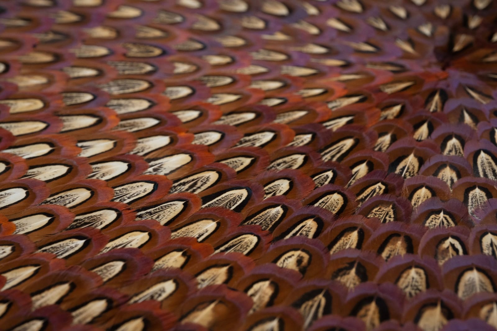 Kate MccGwire, THROB, 2023