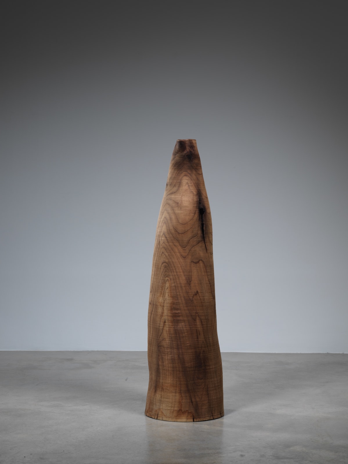 Ernst Gamperl, 61/2019/100, 2019