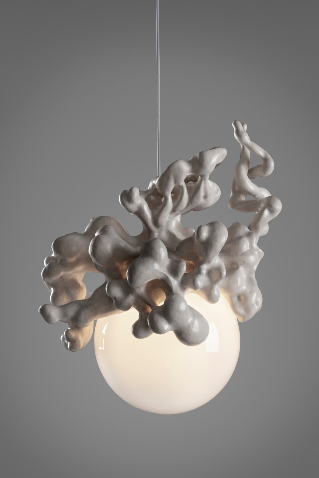 Tadeas Podracky, The Bloom of Bones Light, 2024