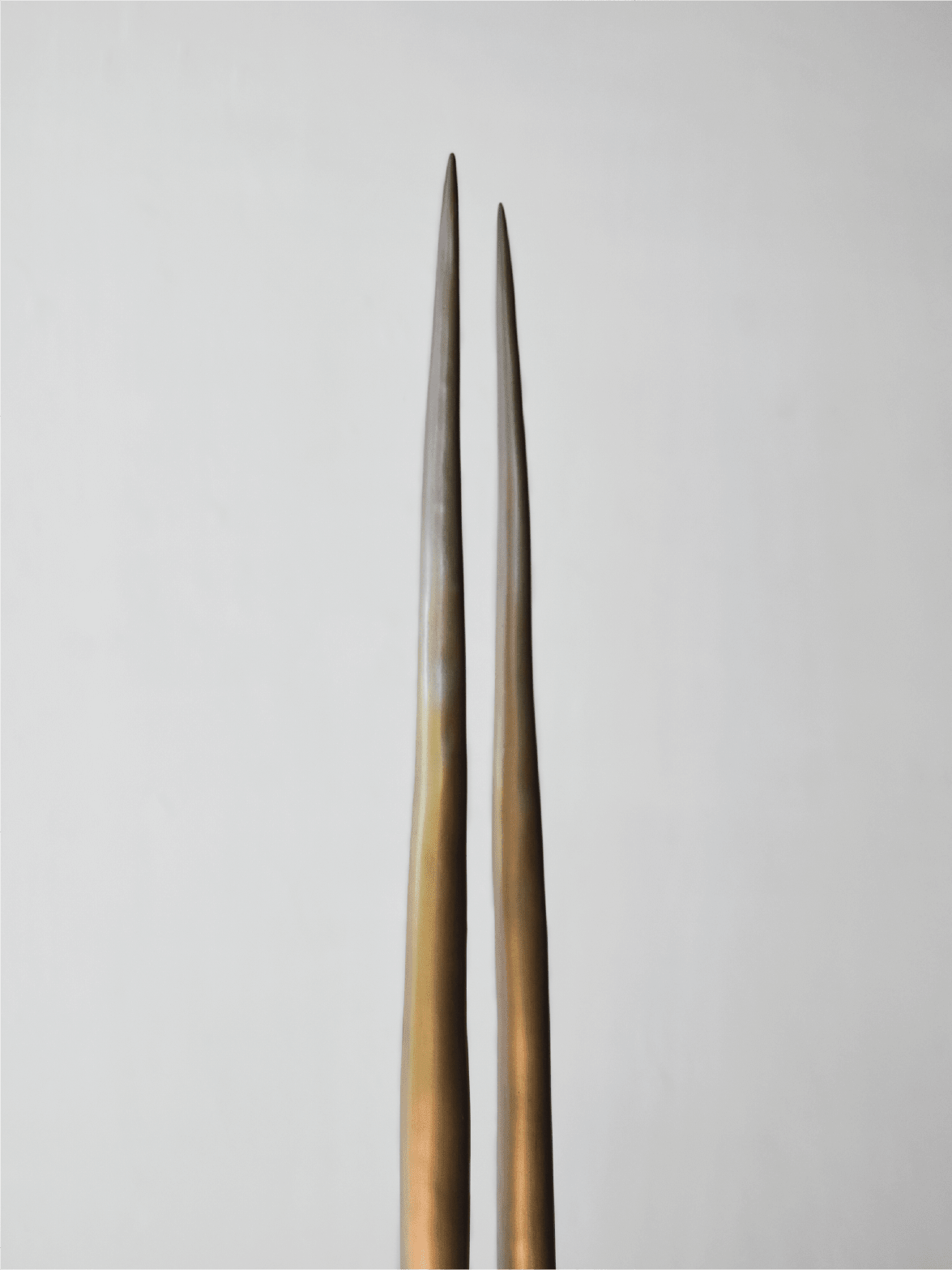 Julian Watts, Feelers, 2025