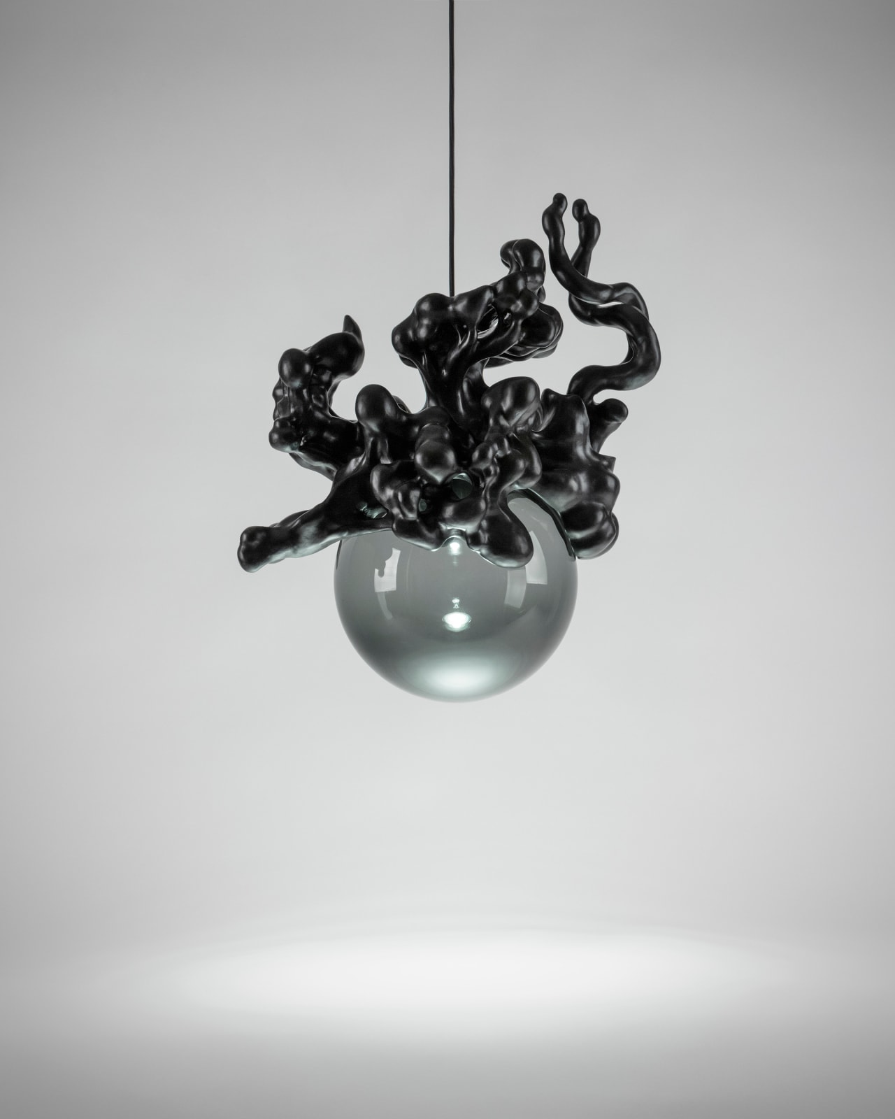 Tadeas Podracky, The Bloom of Bones Light in Black, 2025