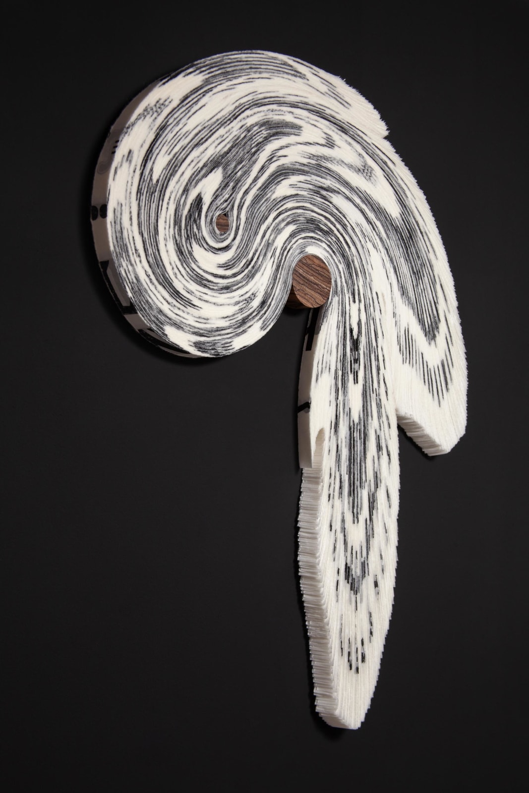 Alida Kuzemczak-Sayer, Tail, 2023