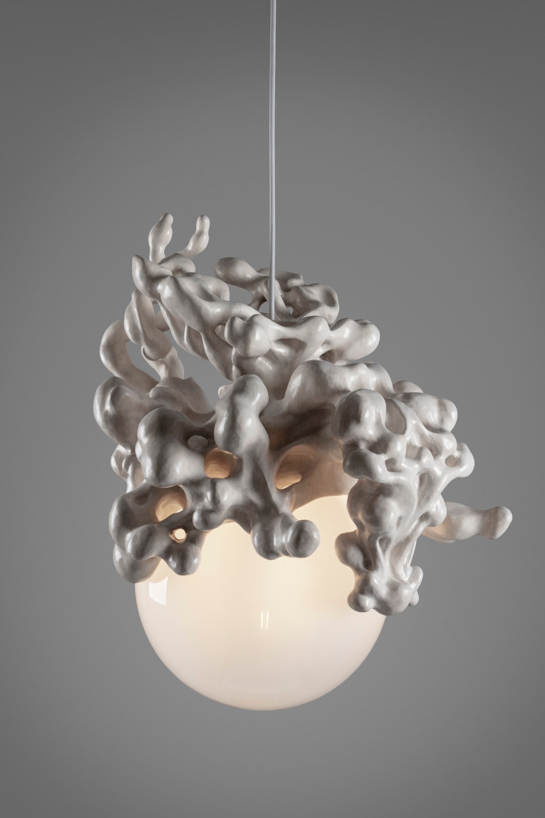 Tadeas Podracky, The Bloom of Bones Light, 2024