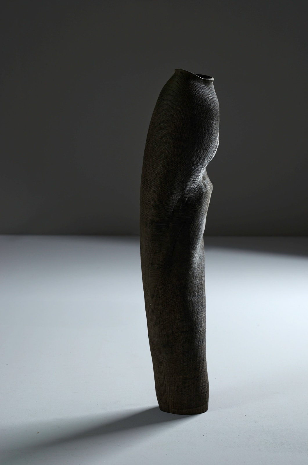 Ernst Gamperl, 15/2024//180, 2024