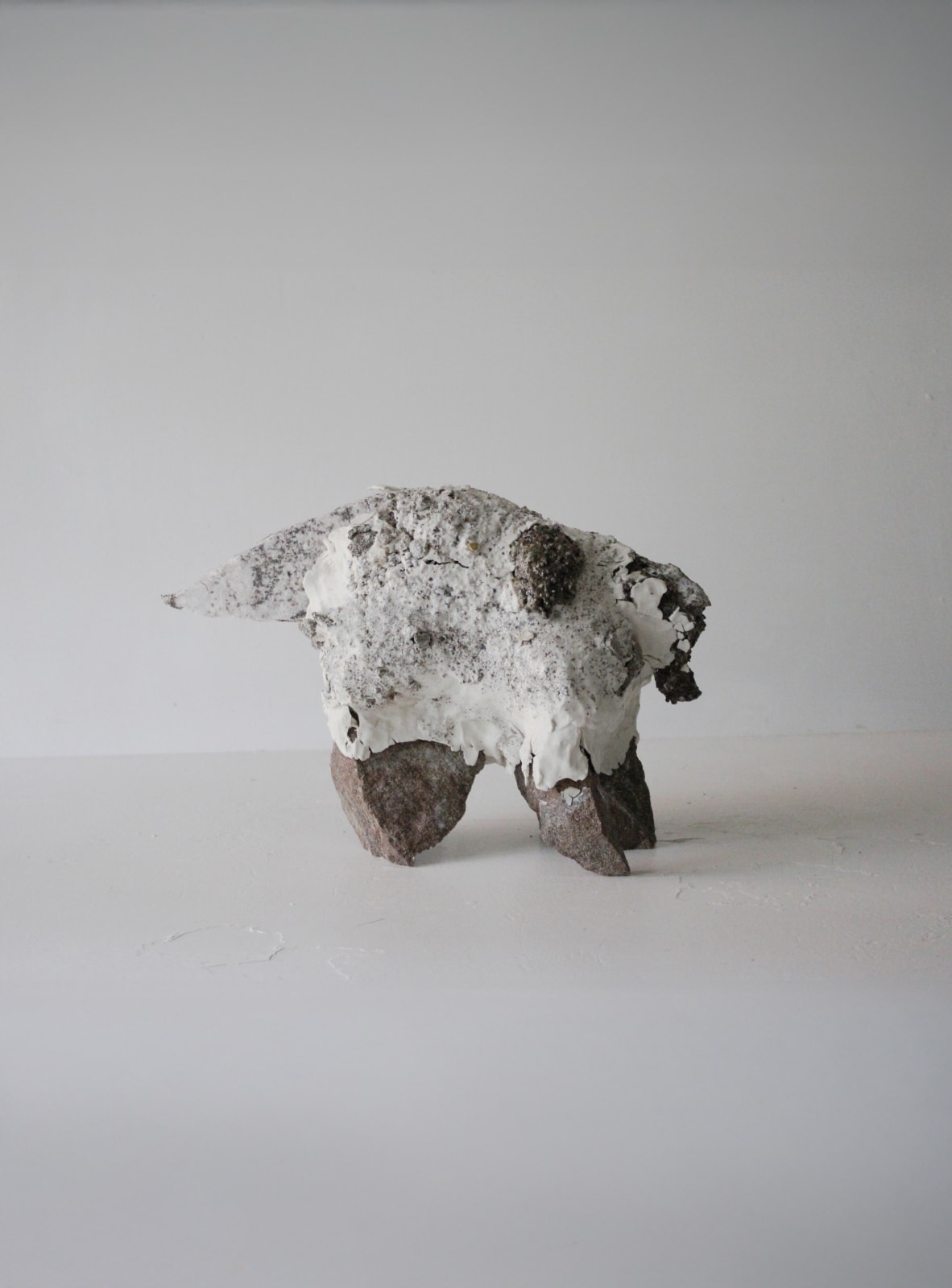 Aneta Regel, Snupilka, 2024