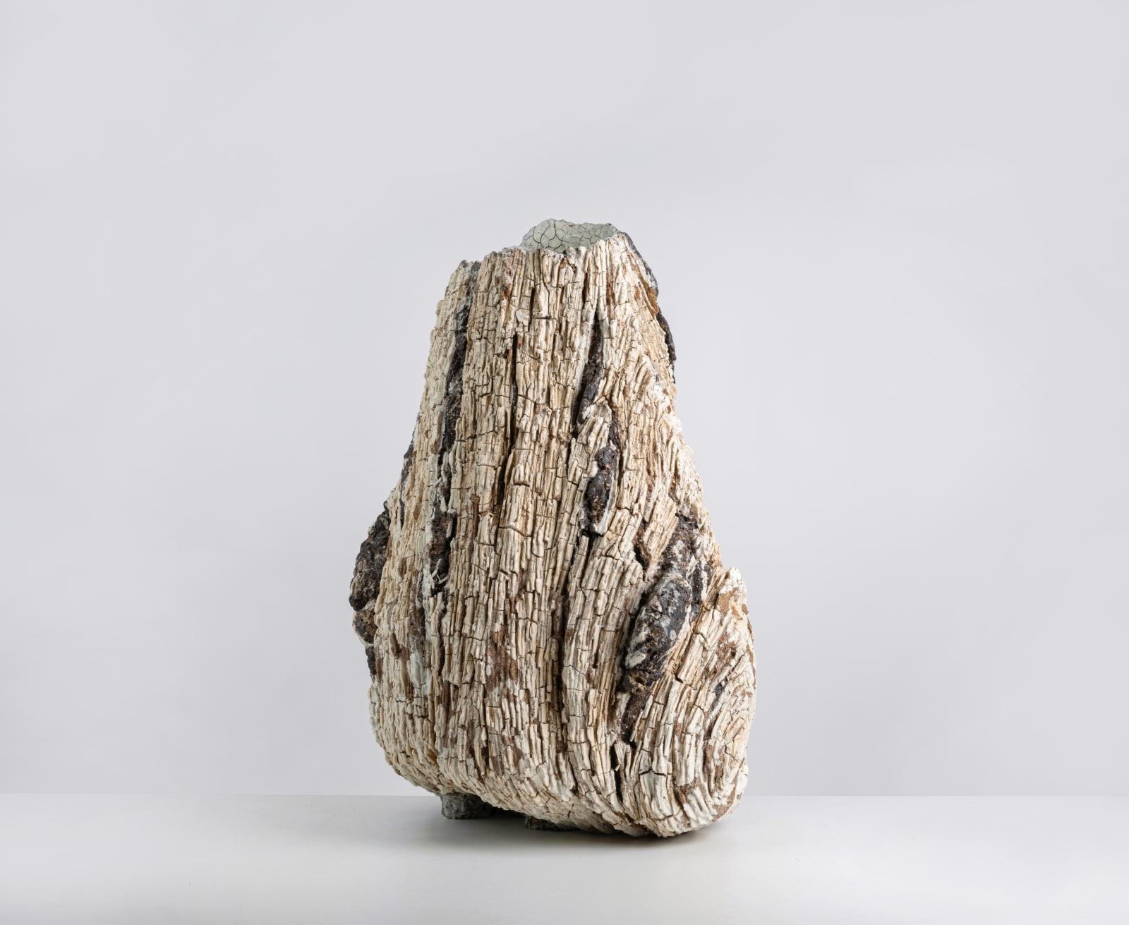 Luke Fuller, Periderm, 2025