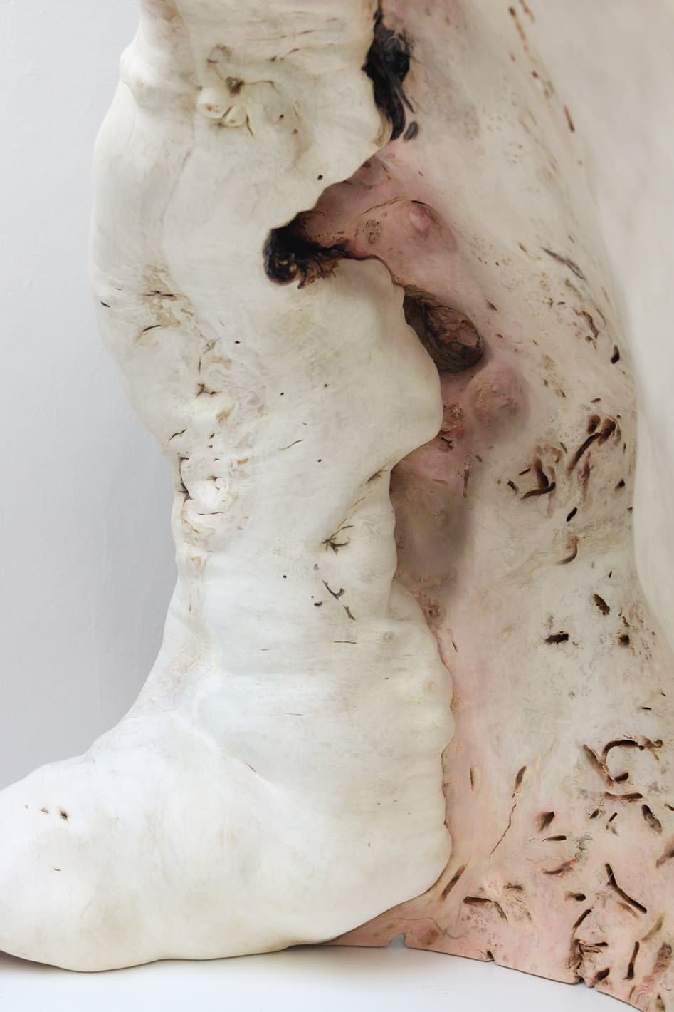 Julian Watts, Shell, 2022