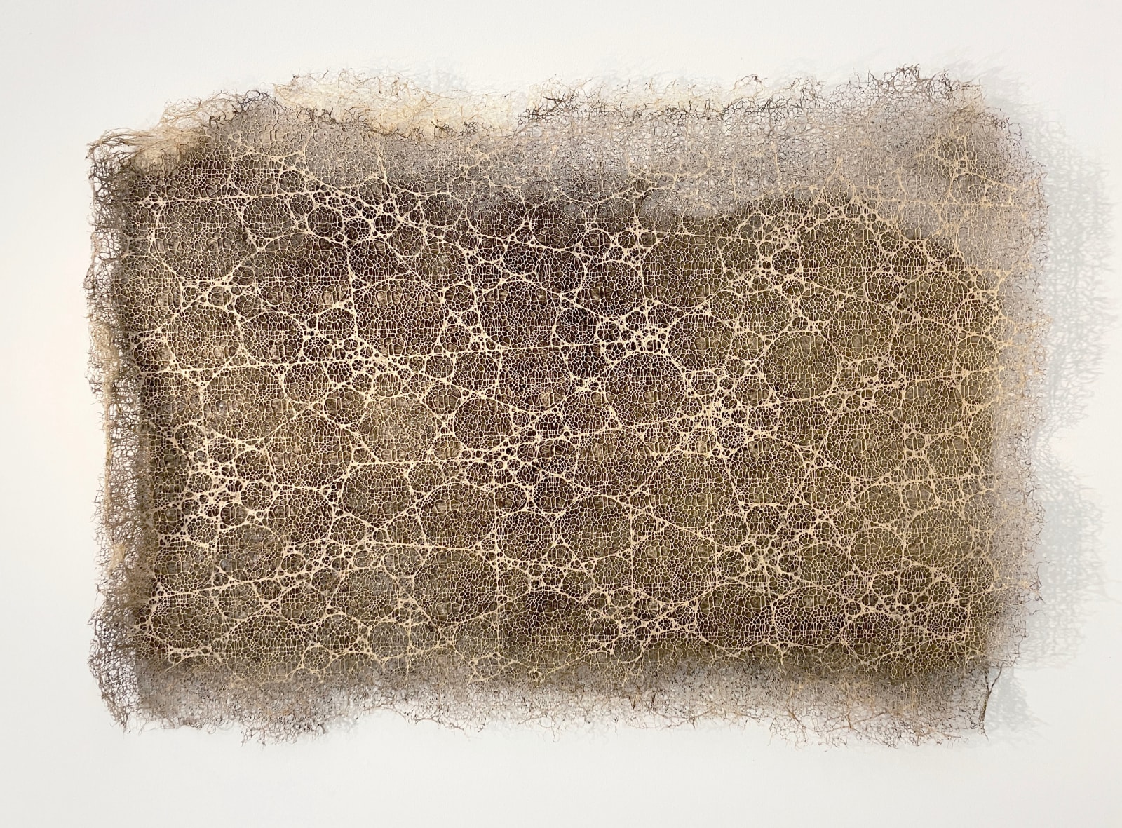 Diana Scherer, Hyper Rhizome #2-5-24, 2023